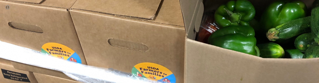 Food program boxes