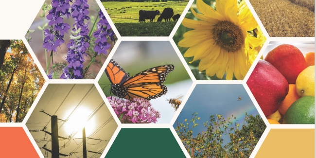 Semiannual Report to Congress FY 2025 - First Half