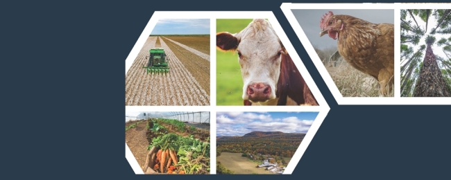 Generic farm fields, animals, crops and scenery